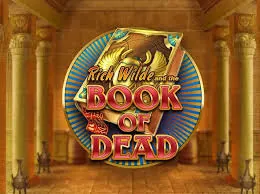 book of dead casino tips image